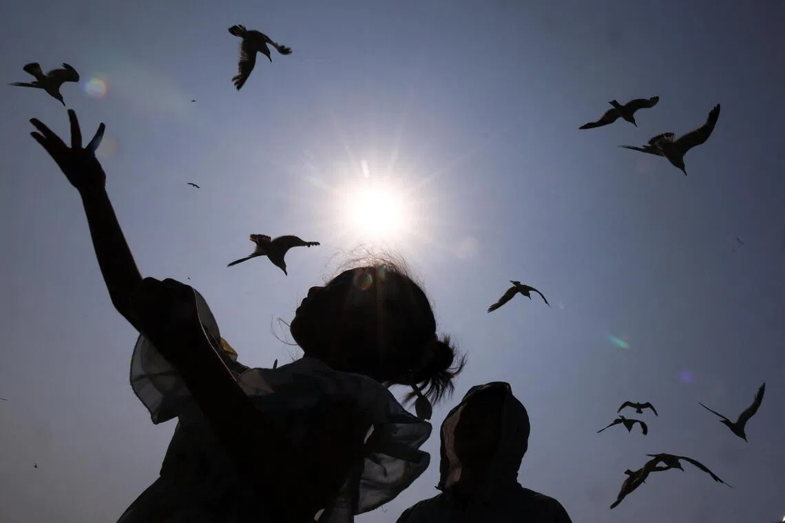 People feed seagulls at the Xinghai Square, amid an orange alert for heatwave on Aug 7, in Dalian, Liaoning province, China.