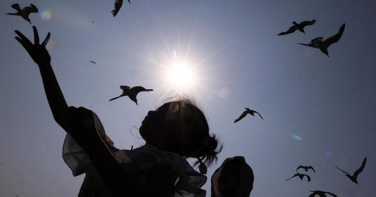 Super El Nino identified in September, China’s climate centre says