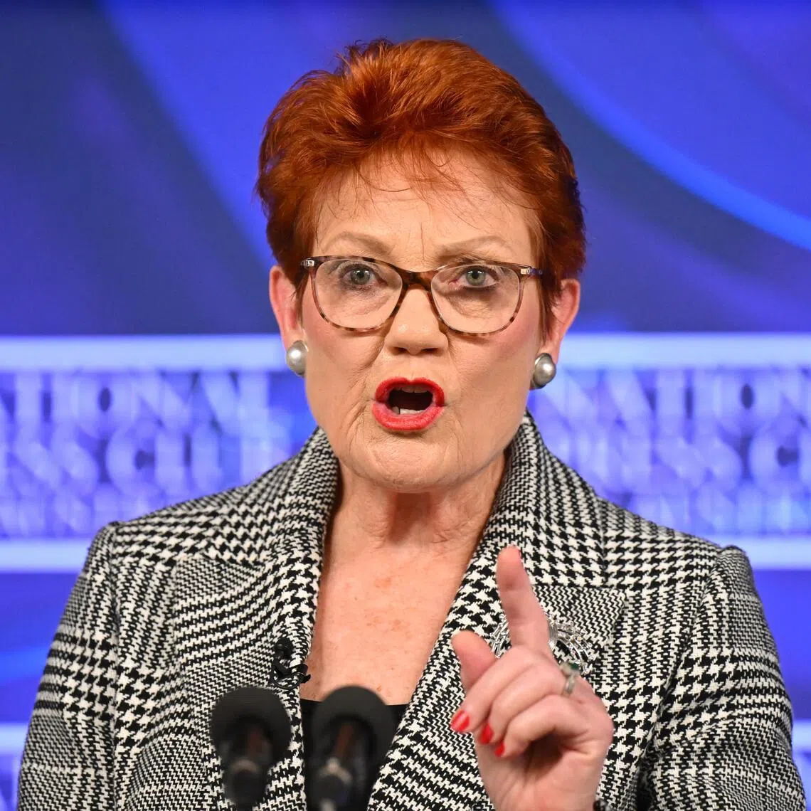 One Nation leader Pauline Hanson pledged to "slash" migration, including restricting the entry of people "from places immersed in extremism like radical Islam".