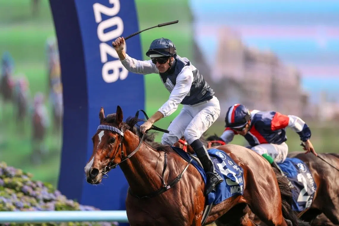 Invincible Ibis second to none in Hong Kong Derby