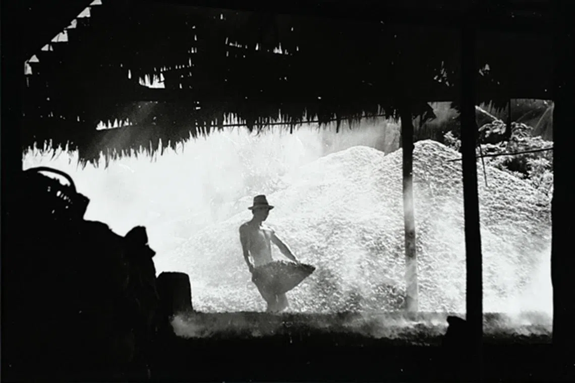 Photographer Hor Kwok Kin's Burning Seashells (1963, Gelatin Silver Print) is on show at artcommune gallery.  
