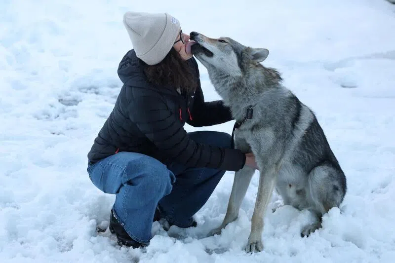 Nazgul the dog who gatecrashed the cross-country race is pictured with owner Alice Varesco at his home in Tesero.
