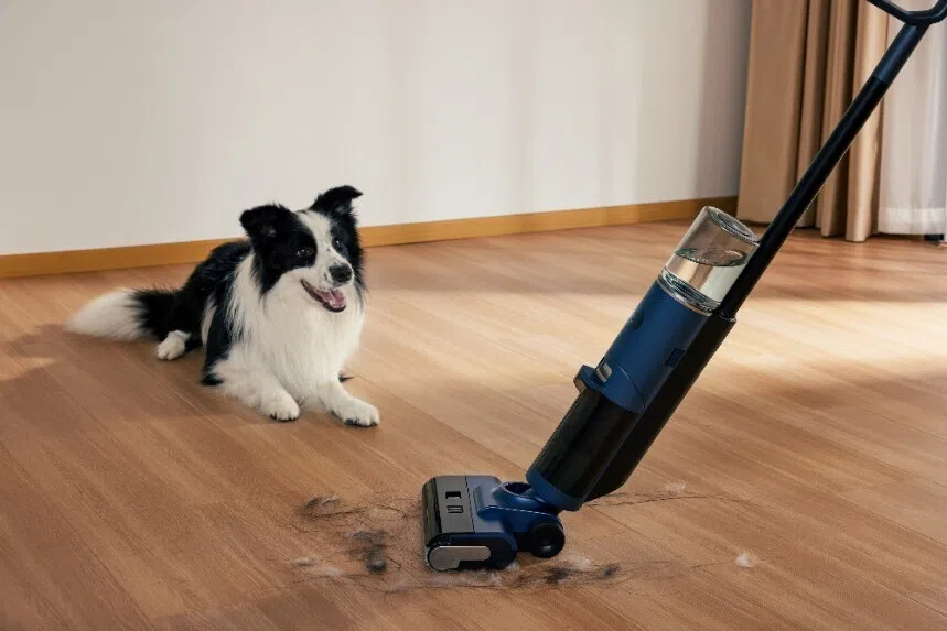 Dog sitting beside wet and dry vacuum cleaner