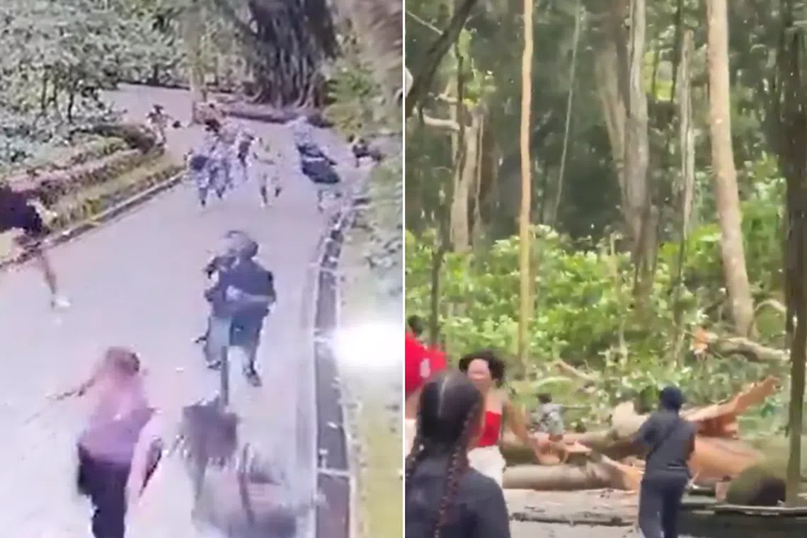 Another visitor was severely injured in the incident.