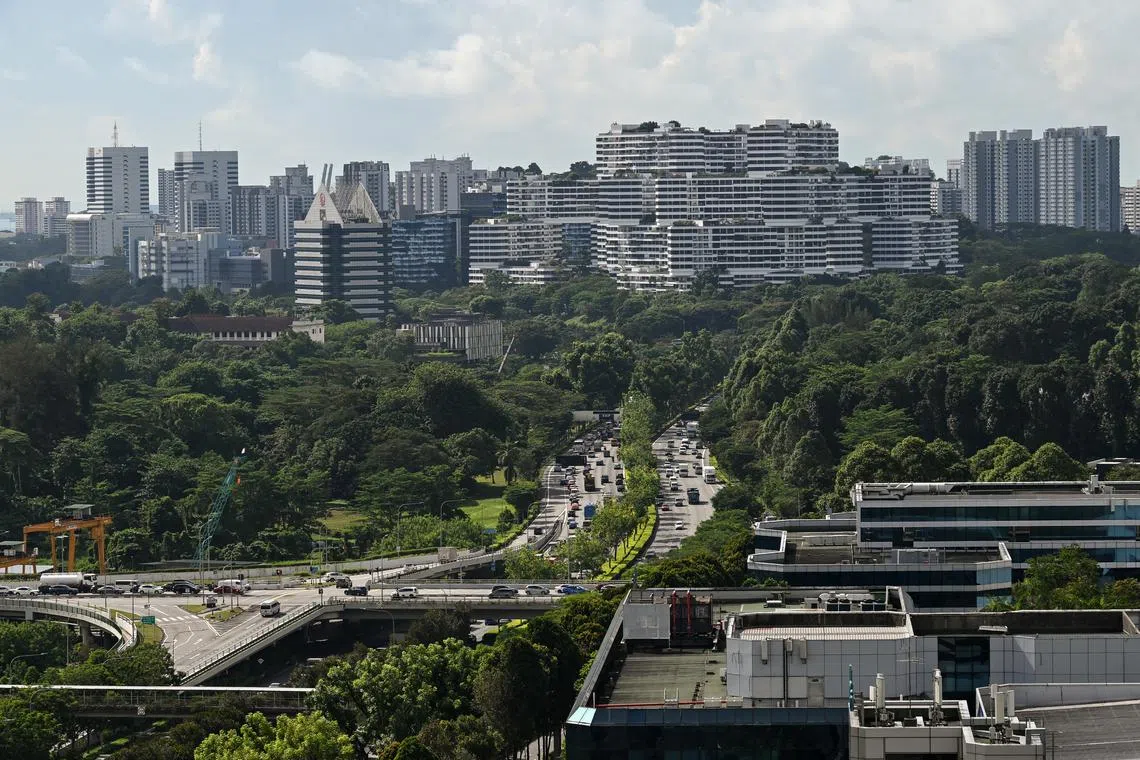 Around 14 per cent of Singapore’s land area is dedicated to parks, nature reserves, nature areas and water bodies.