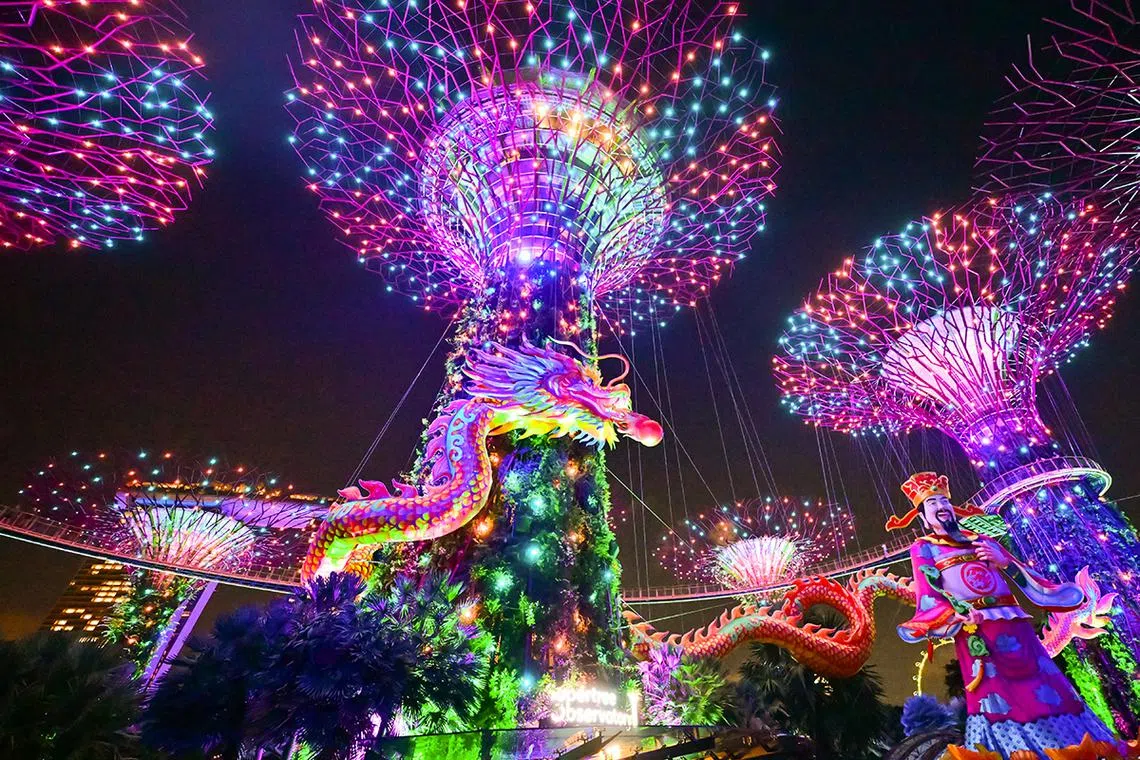 ST20240130-202478307635-Lim Yaohui-stpixdragon/ Nightly Garden Rhapsody show at Supertree Grove in Gardens by the Bay on Jan 30, 2024. 140m-long dragon lantern is suspended across two Supertrees, marking the Year of the Dragon at the River Hongbao, one of Singapore’s largest and longest-running Chinese New Year (CNY) celebrations. The dragon is suspended 5m above ground and displayed together with a 18m-tall God of Fortune. For HIF stpixdragon. (ST PHOTO: LIM YAOHUI)
