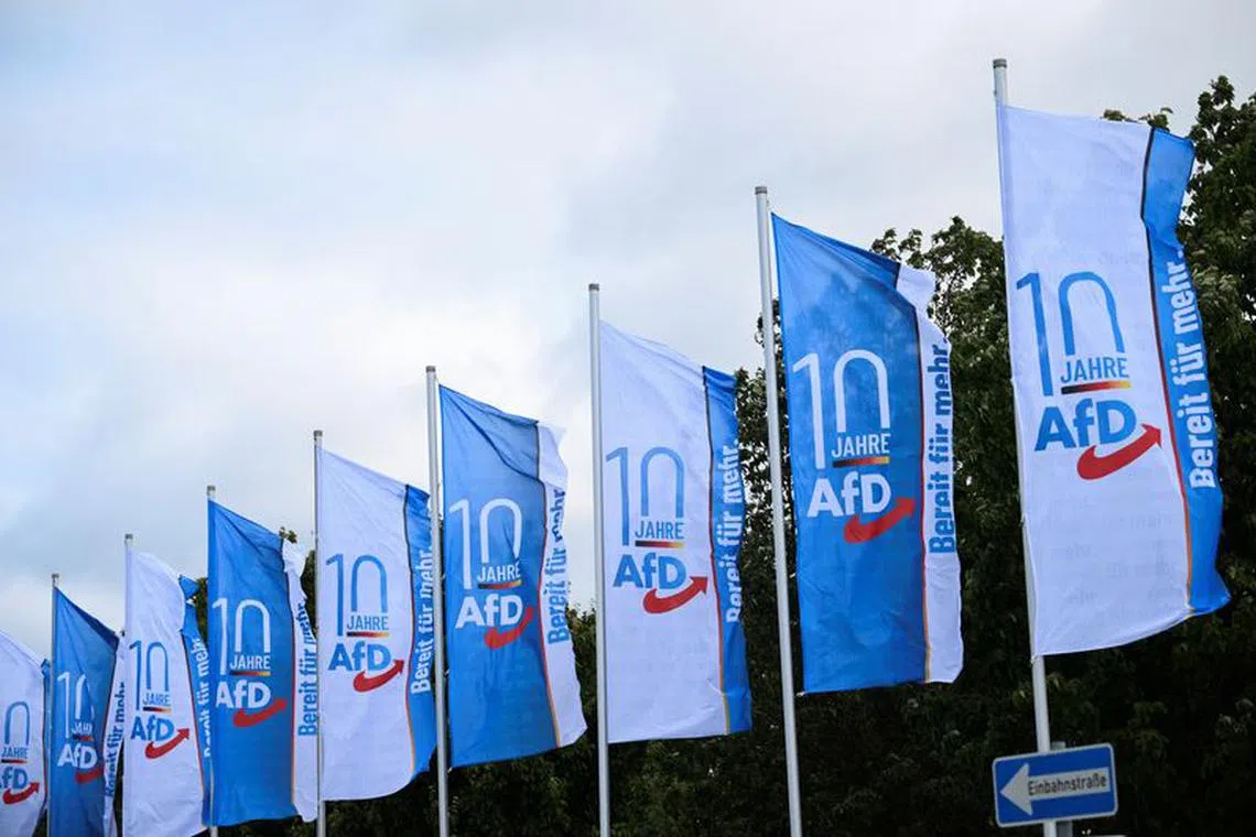 FILE PHOTO: A view of flags near the venue of 14th federal party convention of the Alternative for Germany (AfD) in Magdeburg, Germany, July 28, 2023. REUTERS/Annegret Hilse/File Photo