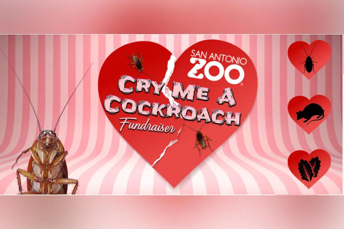 Visitors can take part in the initiative for a donation of around $7 to $34.