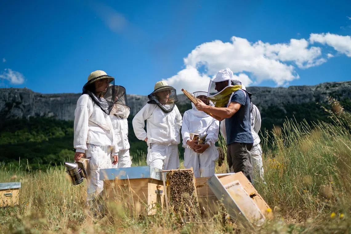 The famous Bee Schools are part of Guerlain For Bees Conservation Program.
