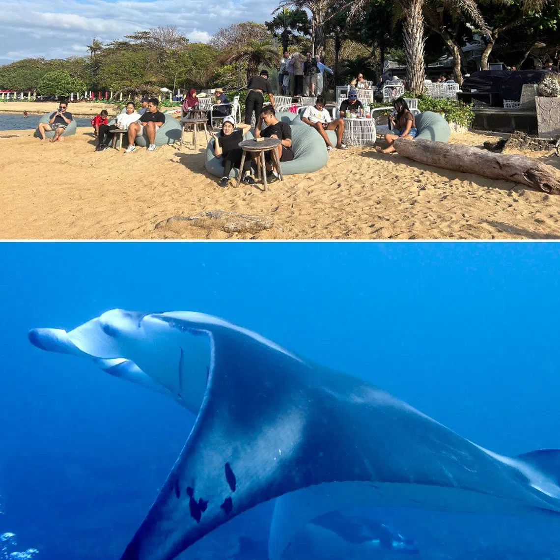 The real magic of the writer's weekend in Bali was not in the dives, the catch, or the brunches, but in the chatting, laughing and bonding with his two sons.