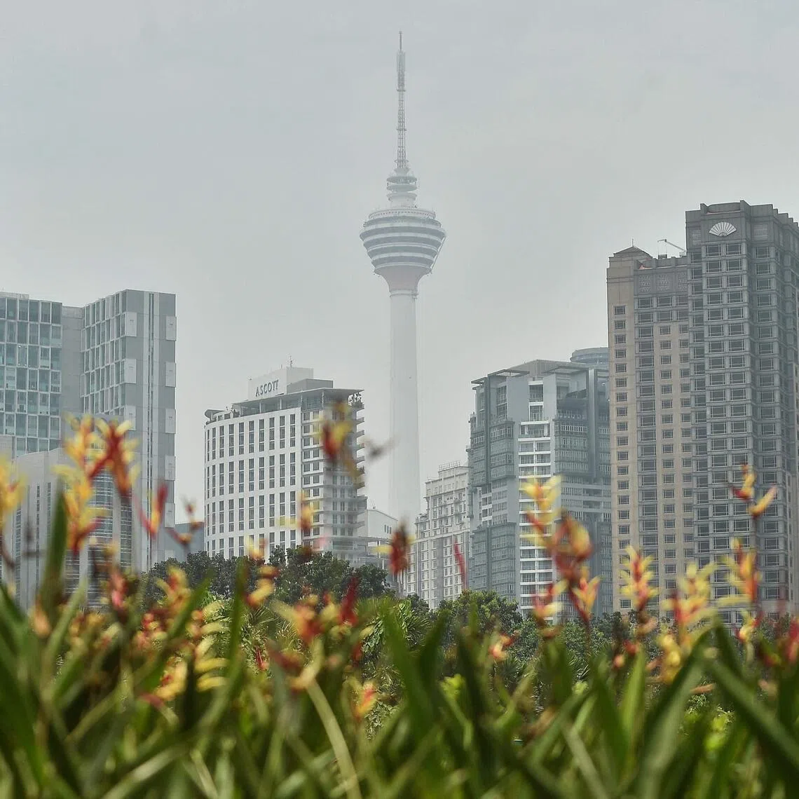 Reduced visibility caused by haze could affect birds as they navigated their migration routes.