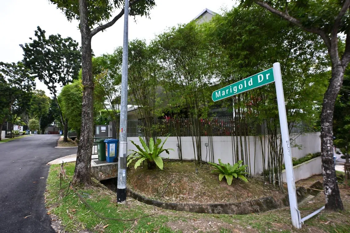 Home broken into on Feb 21 is second landed property in Upper Thomson to be hit in days