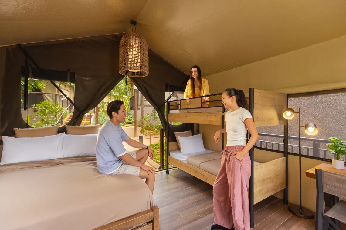 mandai wildlife reserve glamping in the wild crocodile lodge