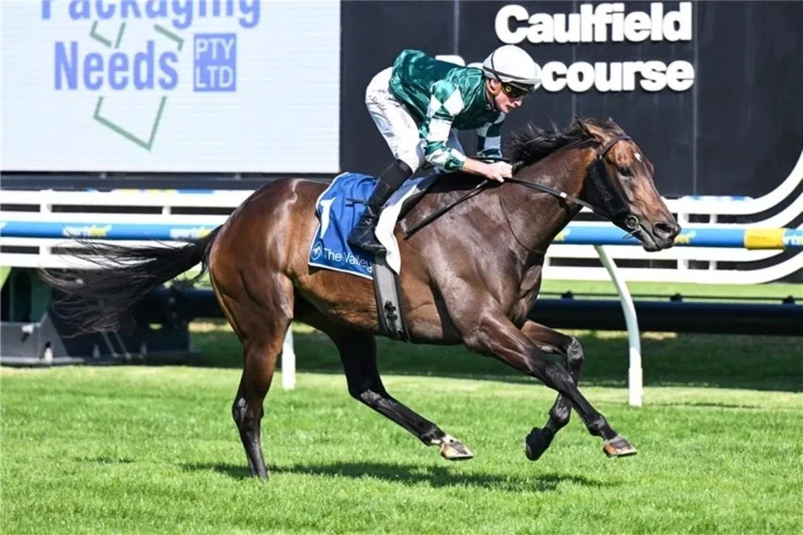 The Matt Laurie-trained Treasurethe Moment (Daniel Stackhouse) claiming the Group 2 Sunline Stakes (1,600m) at Caulfield on March 21.