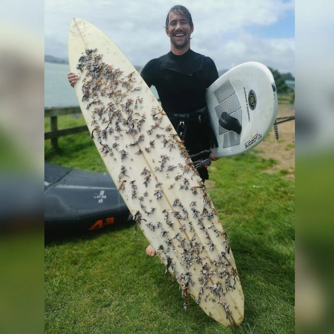 Mr Alvaro Bon found the 2.29m cream-coloured surfboard covered in barnacles and mussels.