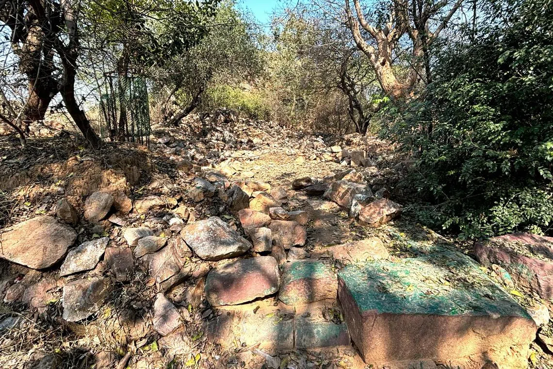 In early February, the Delhi Development Authority  reduced the forest shrine of Baba Haji Rozbih to rubble.