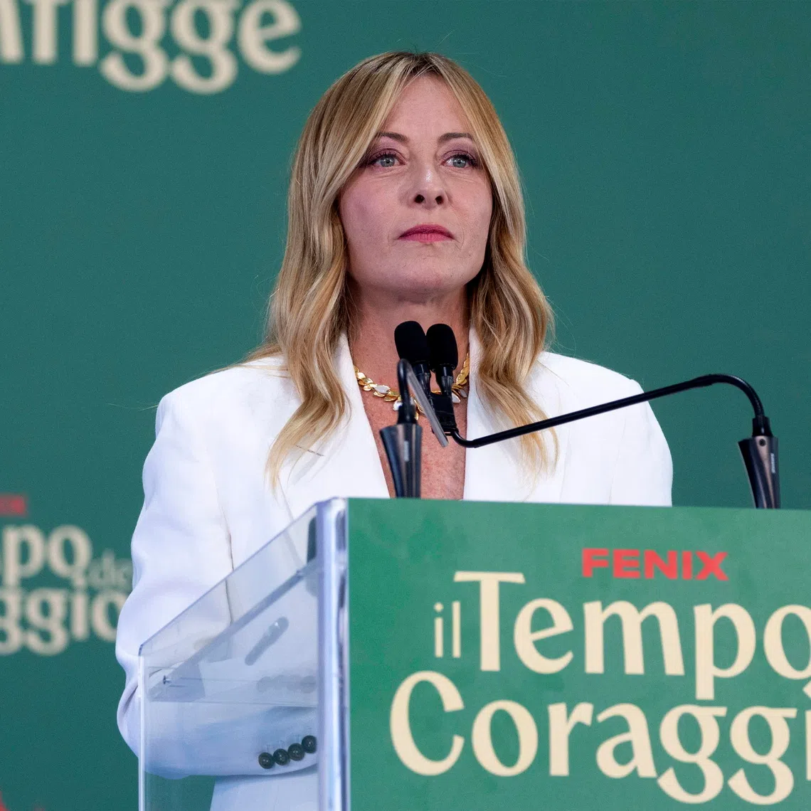 Italian Prime Minister Giorgia Meloni said Italy will cap students who do not have an adequate command of Italian at 30 per cent per class.