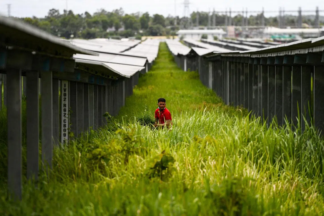 TOPSHOT - This photo taken on September 25, 2022 shows a man cutting grass next to solar panels at Sao Mai solar energy plant in An Giang province. - Solar power has boomed in Vietnam, its climate targets are ambitious, but the fast-growing economy is struggling to quit dirty energy -- leaving one of the biggest coal power development programmes in the world largely intact. (Photo by AFP) / To go with 'Vietnam-Climate-Energy-Rights' Focus by Alice PHILIPSON