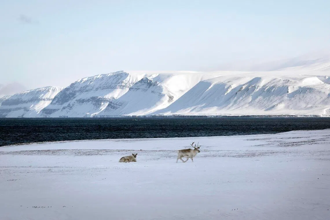 Norway is pushing to more firmly assert its sovereignty over Svalbard (above) and fend off foreign influence in the cluster of Arctic islands.