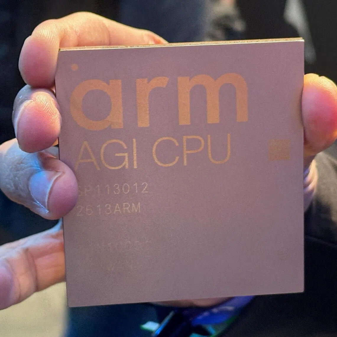 Arm Holdings sells chip designs and licenses a so-called instruction set, which is code used by software to communicate with processors.