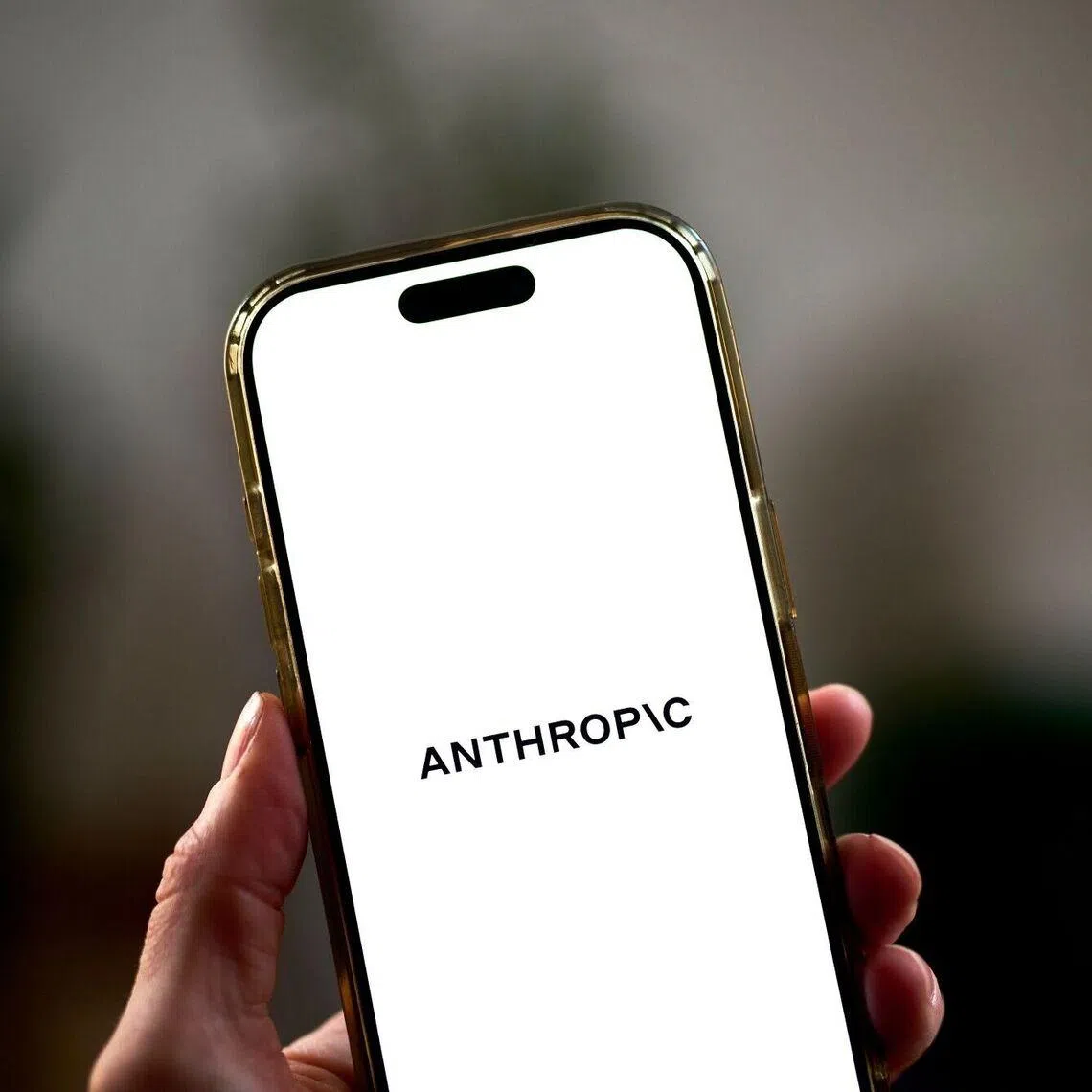 Frontier AI is no longer just a story about productivity tools or consumer applications, says the writer. It is becoming a question of critical infrastructure and more.