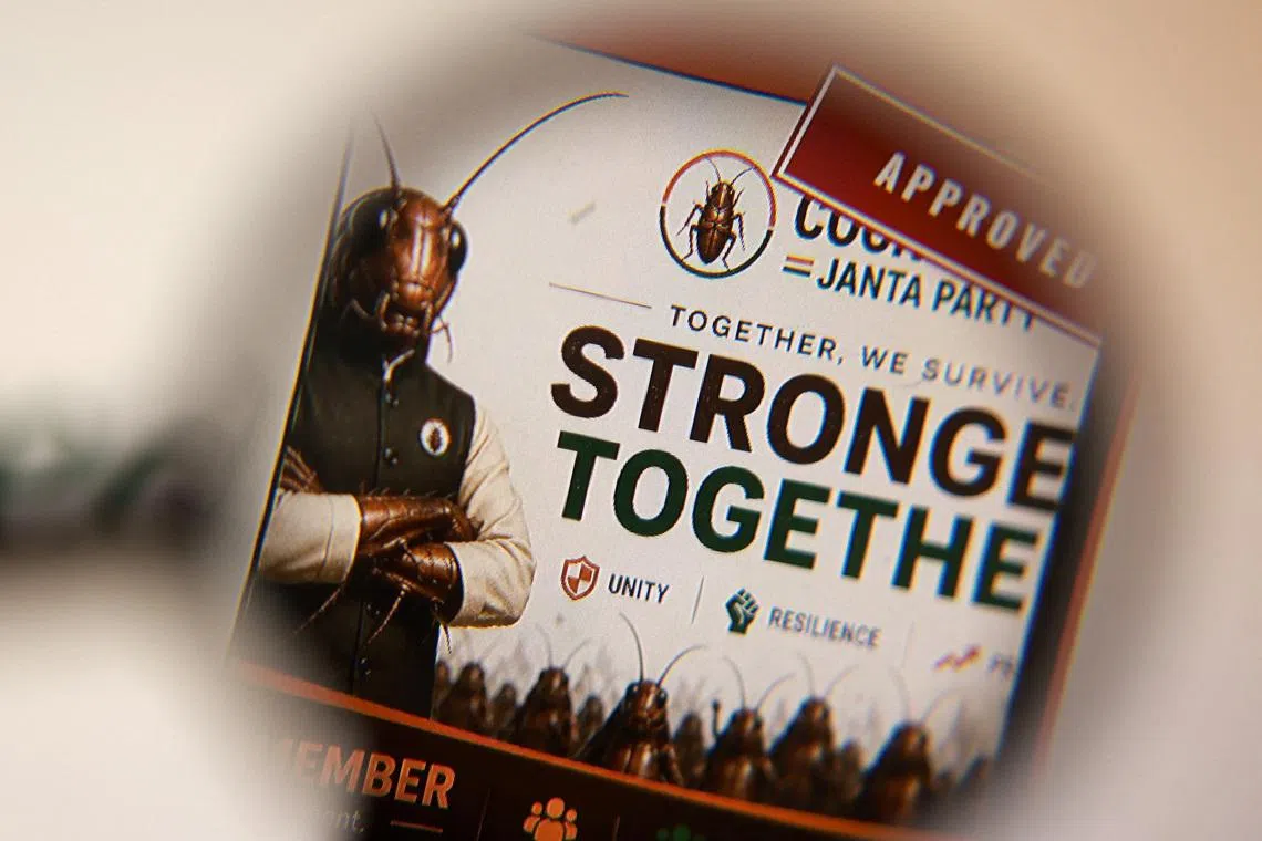 The Cockroach Janta Party logo is seen in this illustration taken May 28, 2026. REUTERS/Dado Ruvic/Illustration