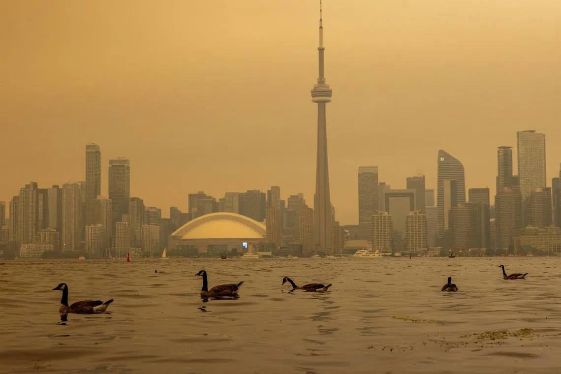 Canada geese swim in Lake Ontario, as wildfire smoke from north-western Ontario fills the sky on July 15.