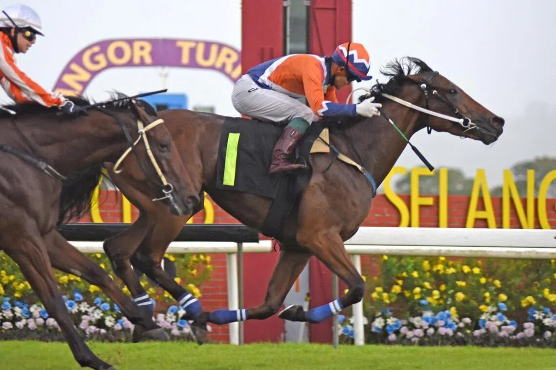 Jinling Starblitz - Jinling Starblitz


PHOTO; SELANGOR turf CLUB