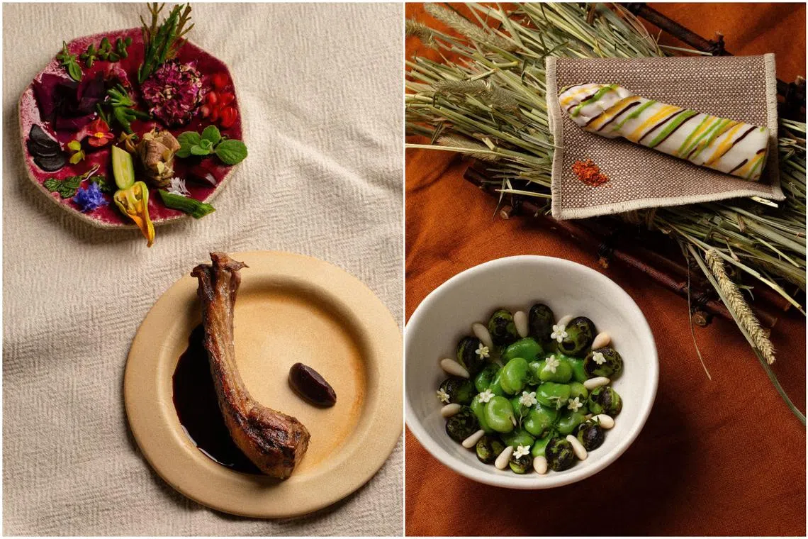 Italian restaurant Somma looks to keep the momentum with its first menu change for what it calls its Solterra season.