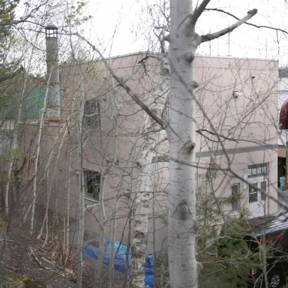 The man allegedly used the zoo's incinerator, meant to dispose of waste and dead animals, to burn the woman's body for several hours.