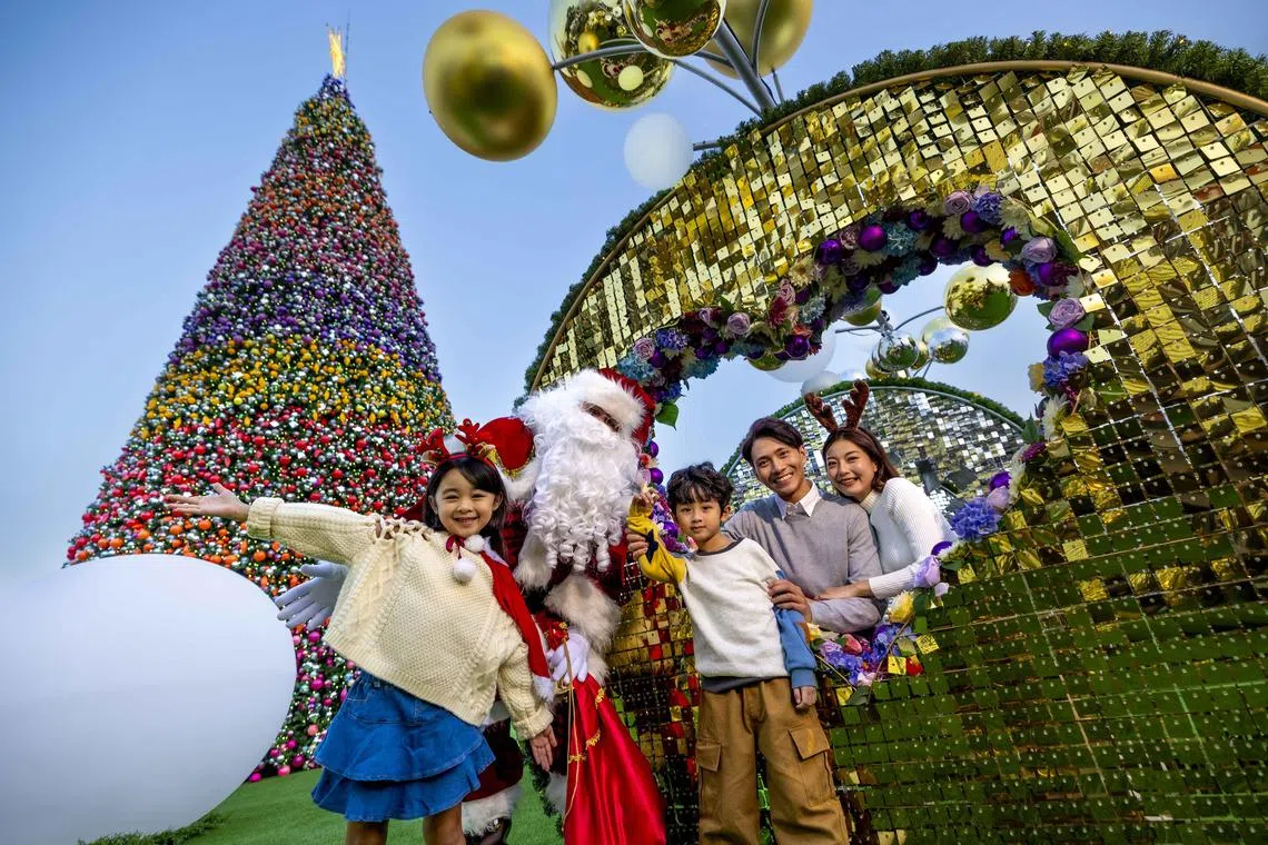 A six-storey-high Christmas tree and smaller trees will be dominating the skyline at the Art Park in Kowloon till Jan 1.