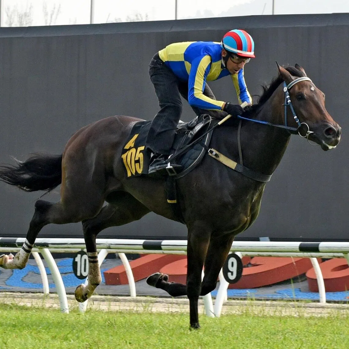 bmtrials15 - Fast Famous
PHOTO: SELANGOR TURF CLUB