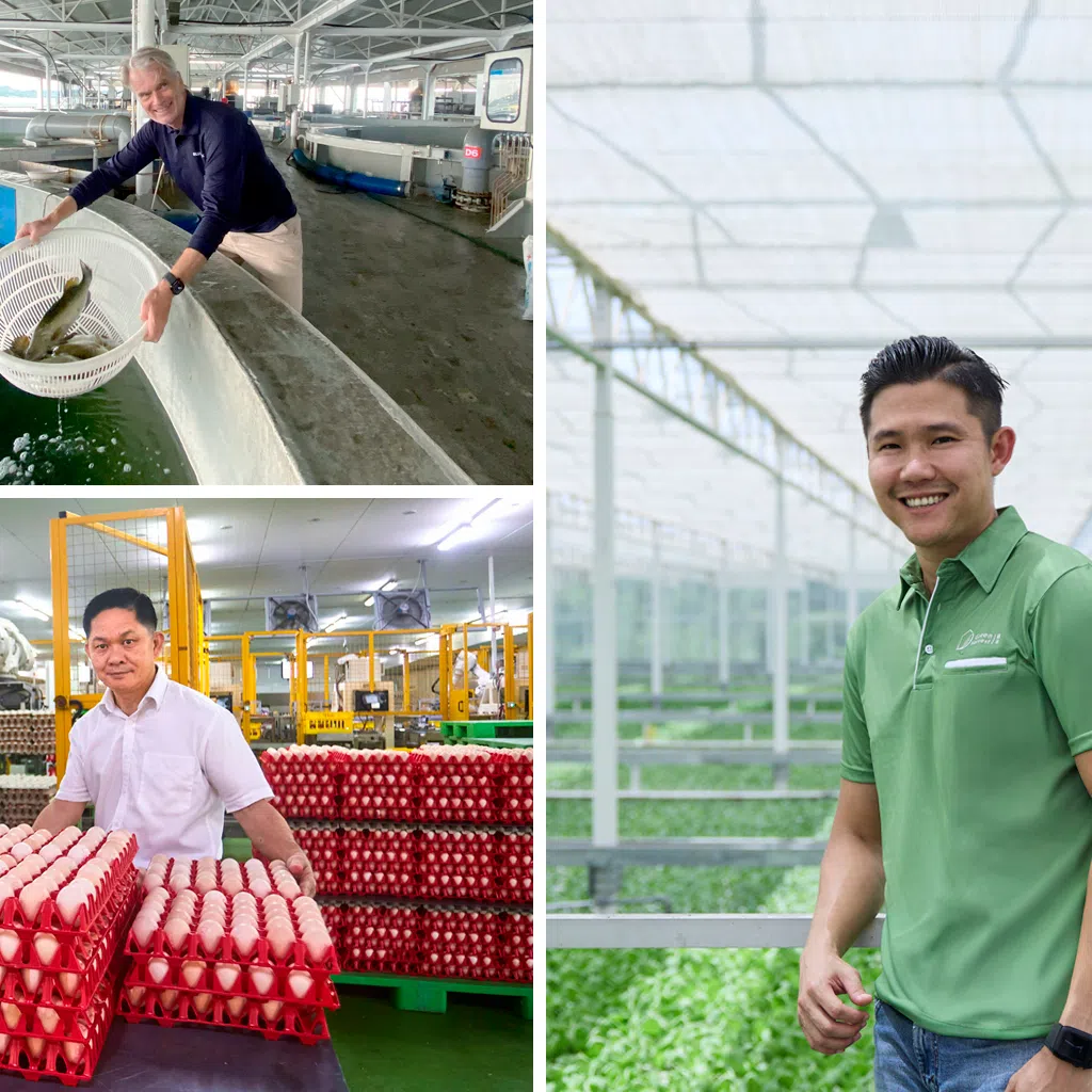 Local farmers Singapore Aquaculture Technologies, Green Harvest and N&N egg farm