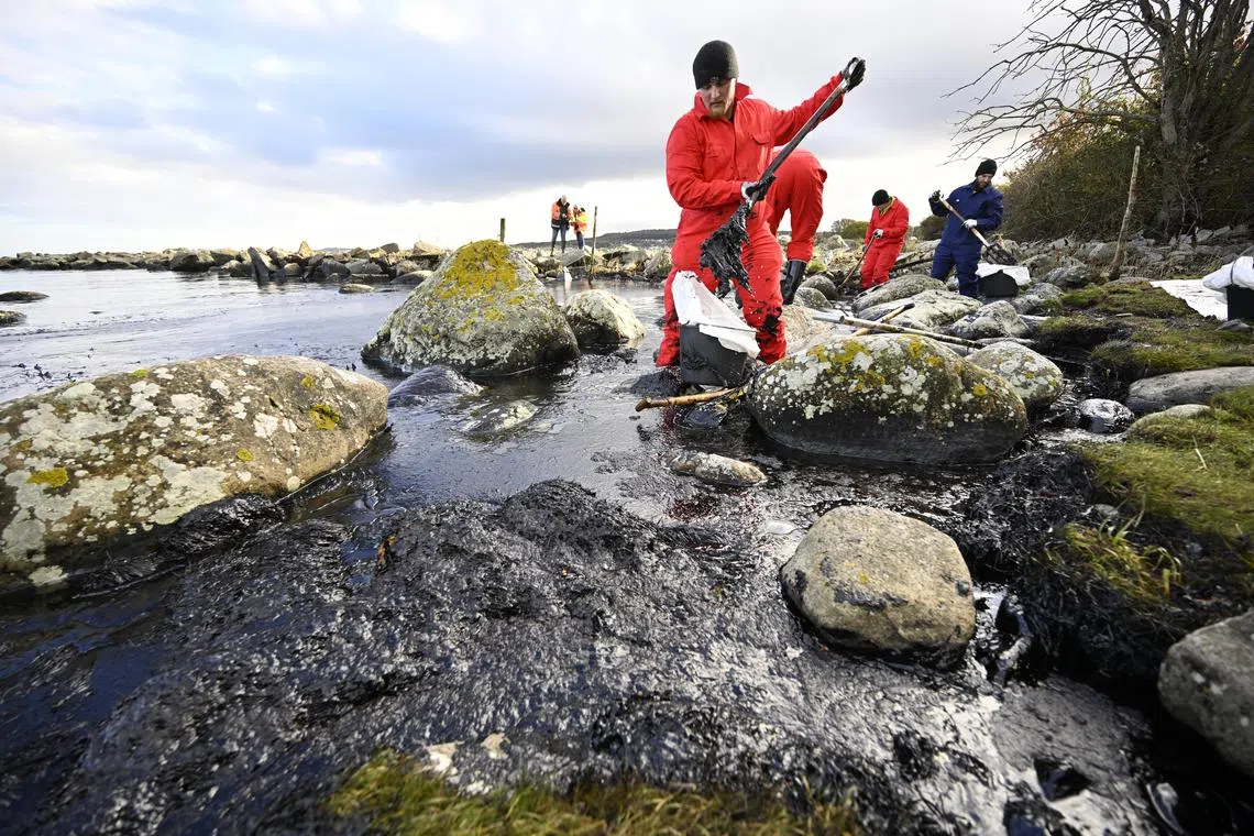 People work in the cleanup of oil from the nature reserve Spraglehall at Krokas in Horvik, Sweden.