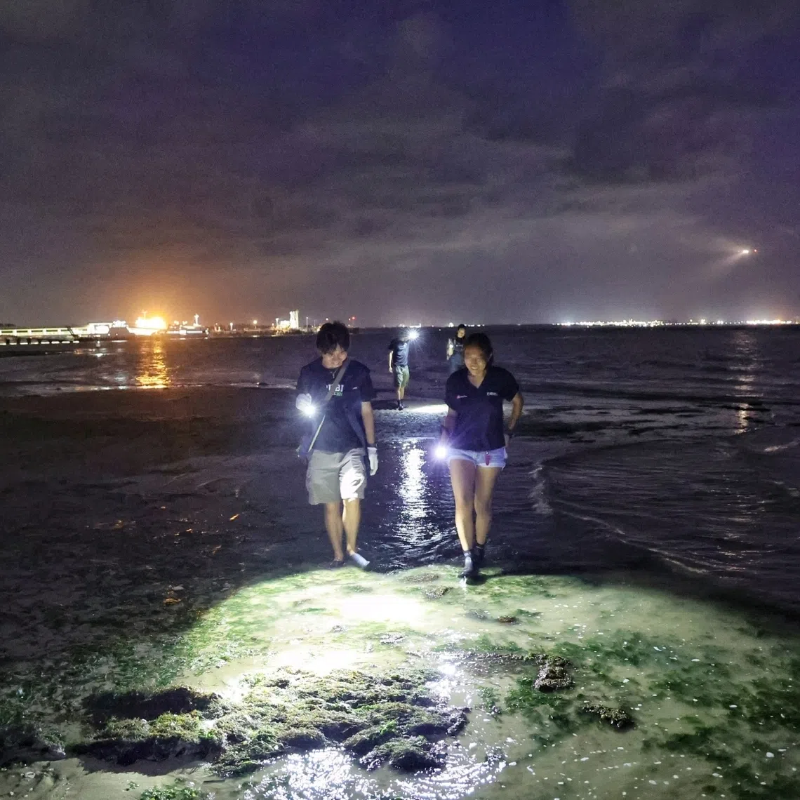 Republic Polytechnic’s Diploma in Environmental and Marine Science final year students Keon Lim (left) and Kyra Raphael Pung, both 19, conducting fieldwork at the beach in the early morning of July 15.