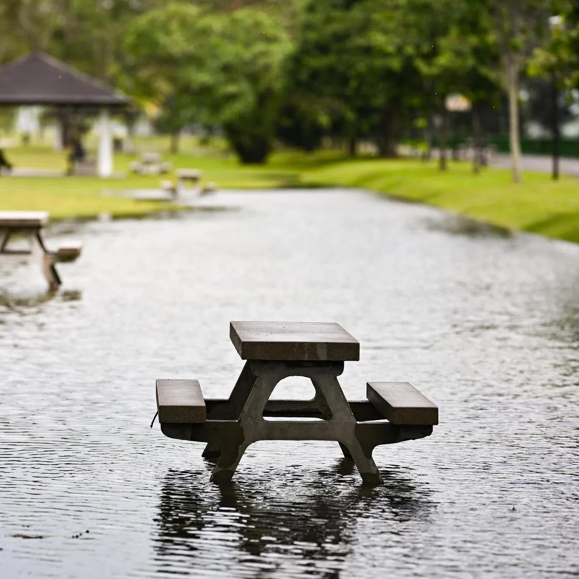 The global climate agenda has entered a more turbulent phase over the past 15 months.