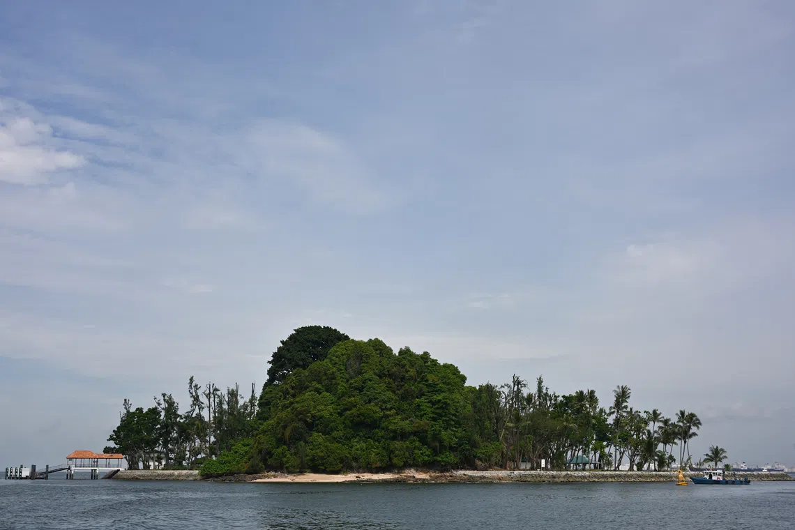 New $60m marine science institute launched to help Singapore, region with ocean challenges
