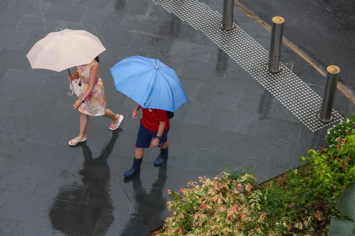 Rain fell across Singapore throughout the afternoon and into the evening on Feb 19.