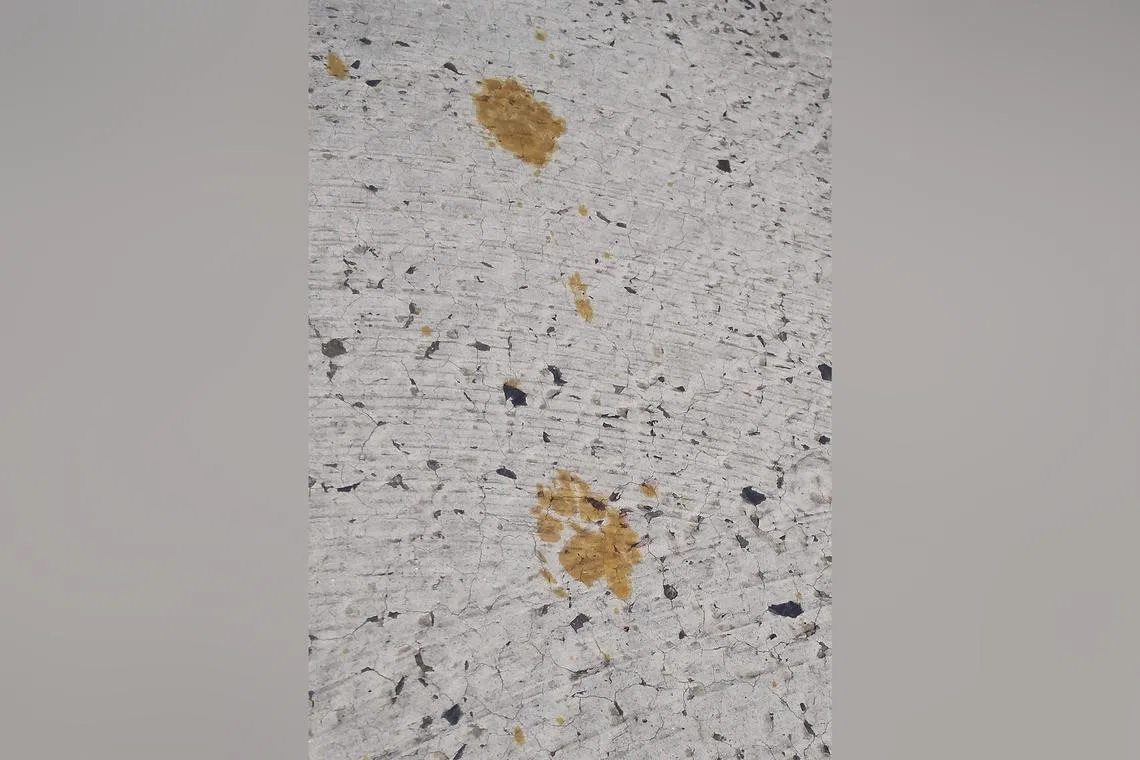 Footprints believed to be from a cat that fell into a tank containing toxic hexavalent chromium in a factory in Japan.