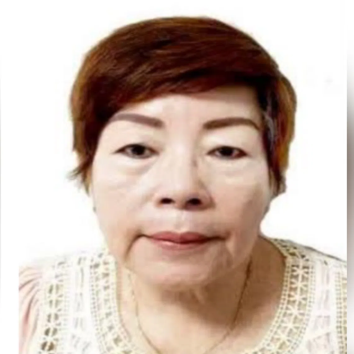 Madam Nah Ah Lian was last seen near Block 206C Compassvale Lane at about 10.35am on Nov 26.