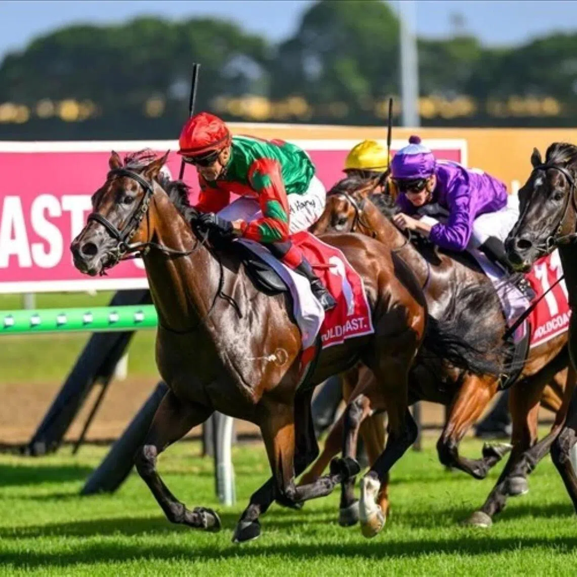 poster12 - Poster Girl (Martin Harley) opening her account in the Magic Millions Rising Stars 3&4YO F&M Plate (1,300m) at the Gold Coast on Jan  10. The Alabama Express mare will be one of two Chris and Corey Munce runners in the Magic Millions Fillies and Mares (1,300m) on Jan 17. 

PHOTO: Sky Racing World