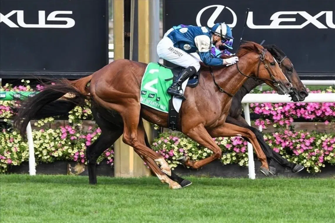 Australian Cup a Ciaron Maher 1-2