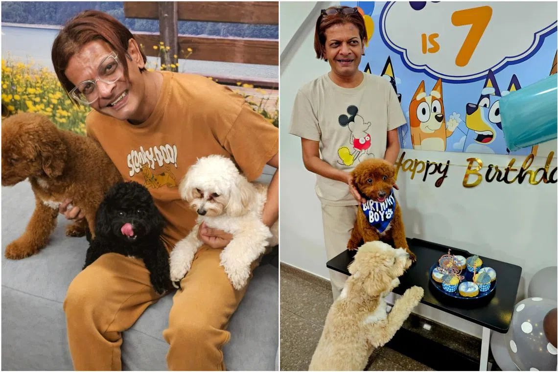 Comedian Kumar with his fur babies. 