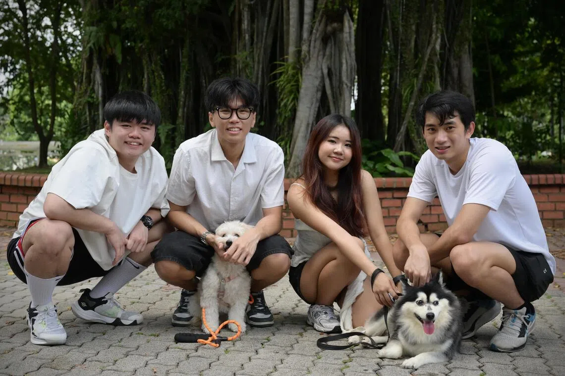 Four recent poly graduates created Wagglo, an app that allows dog owners to find new friends for their pets. The Wagglo team comprises (left to right) Pang Ben Yang, 20, Timus Tan Shao Qi, 20, Cailin Yeo Yao Can, 20, and Ervin Ng Yu Boon, 22. Posing with the team are also Tan’s dog, two-year-old Taffy, and Yeo’s dog, seven-year-old Doya.