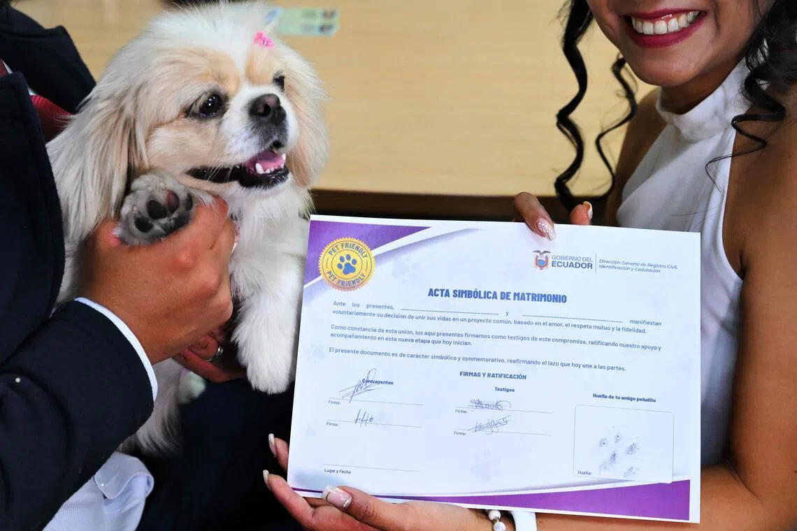 A cadela Luna carimbou com a pata a certidão de casamento, que também continha as assinaturas do casal e de outras testemunhas.