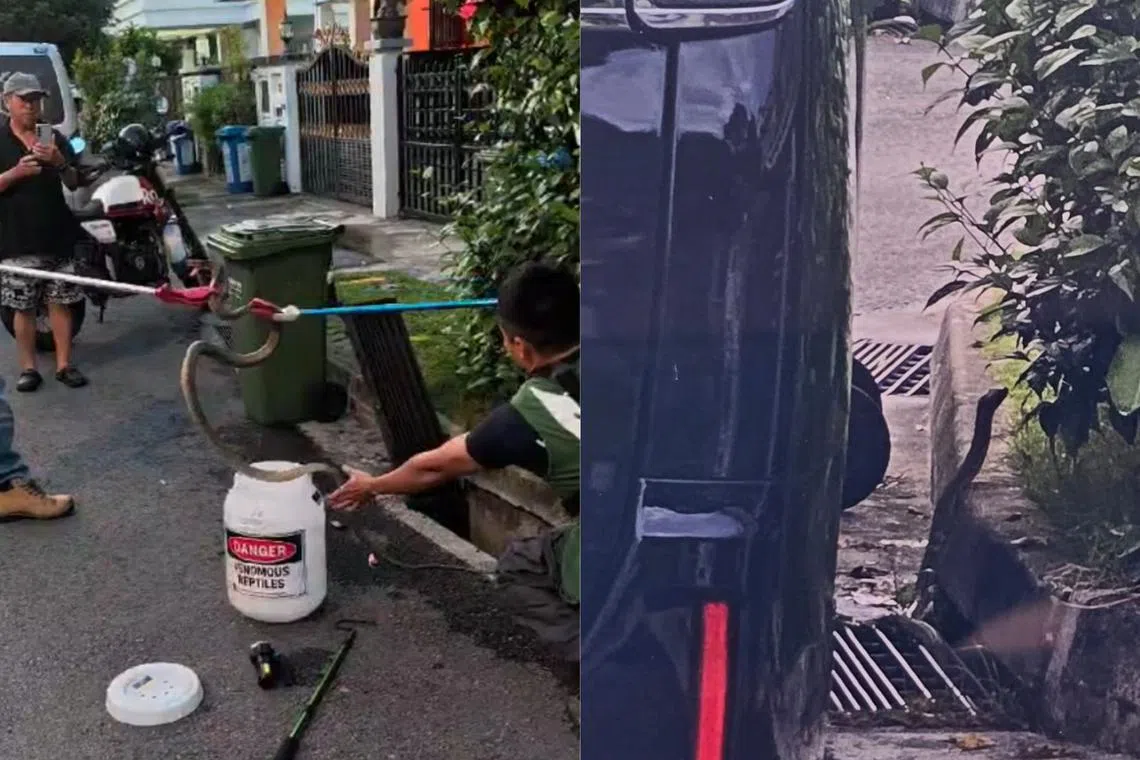 Video recordings and pictures were also taken by curious onlookers at the scene.