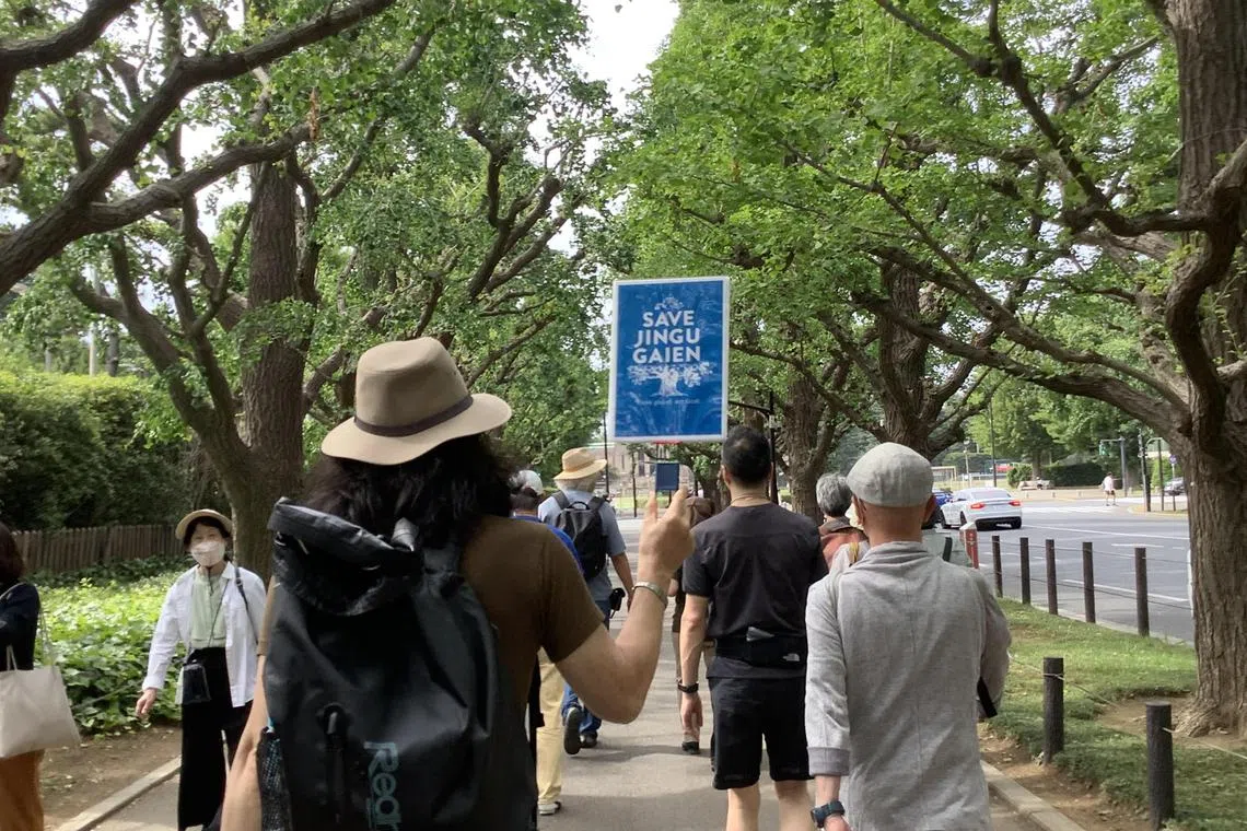 An activist holds a placard 'Save Jingu Gaien' as he walks along the park's famous row of ginkgo trees.