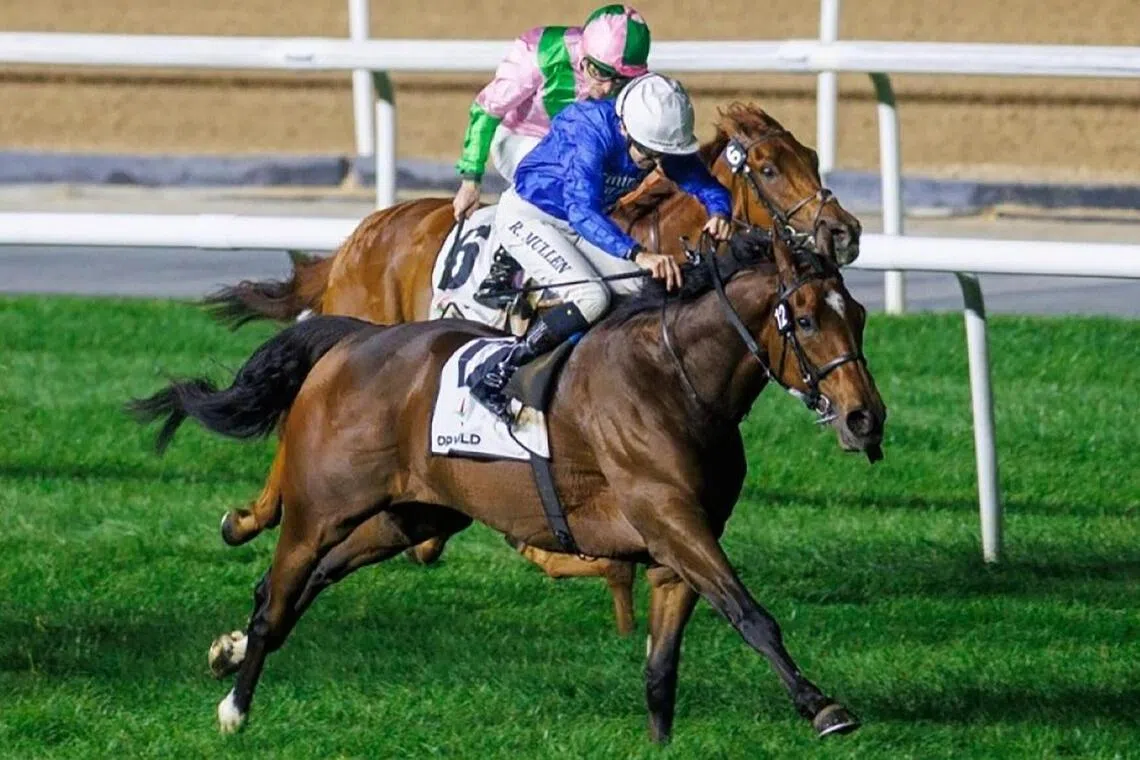 hkprev11 - Mothecombe


PHOTO: DUBAI RACING CLUB