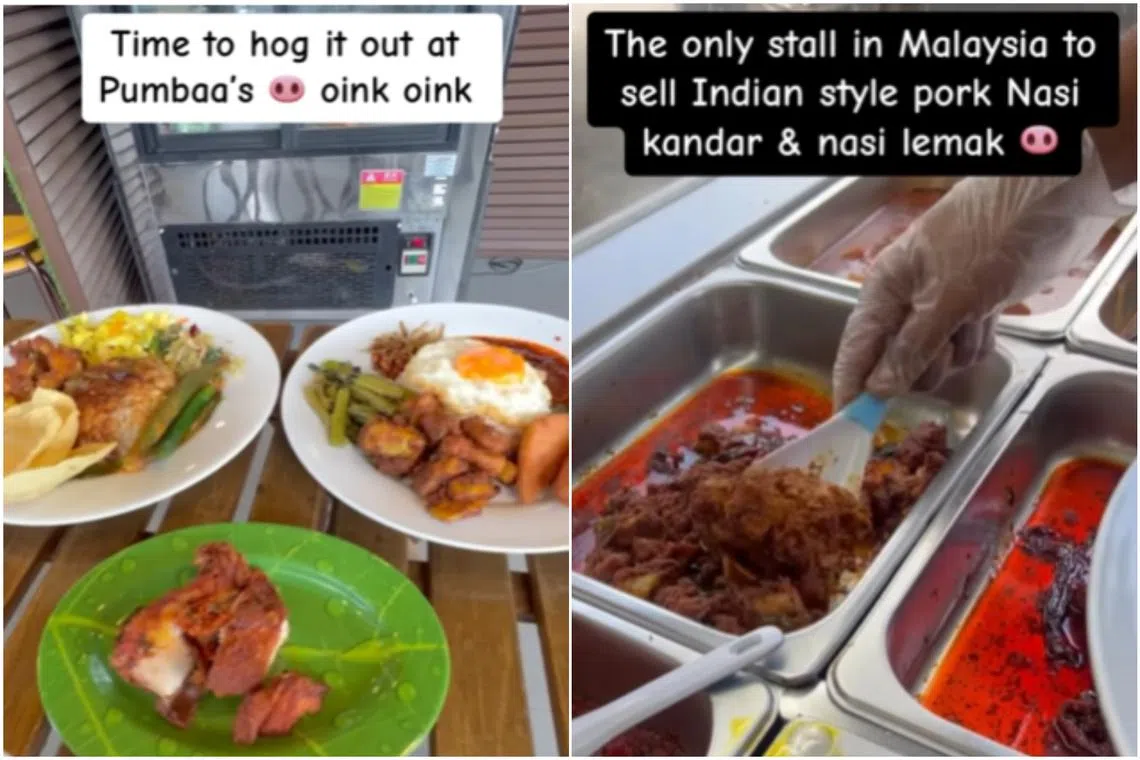 The stall in question, Pumbaa’s in Petaling Jaya, Selangor, drew attention online after it was featured by a local food influencer’s video.