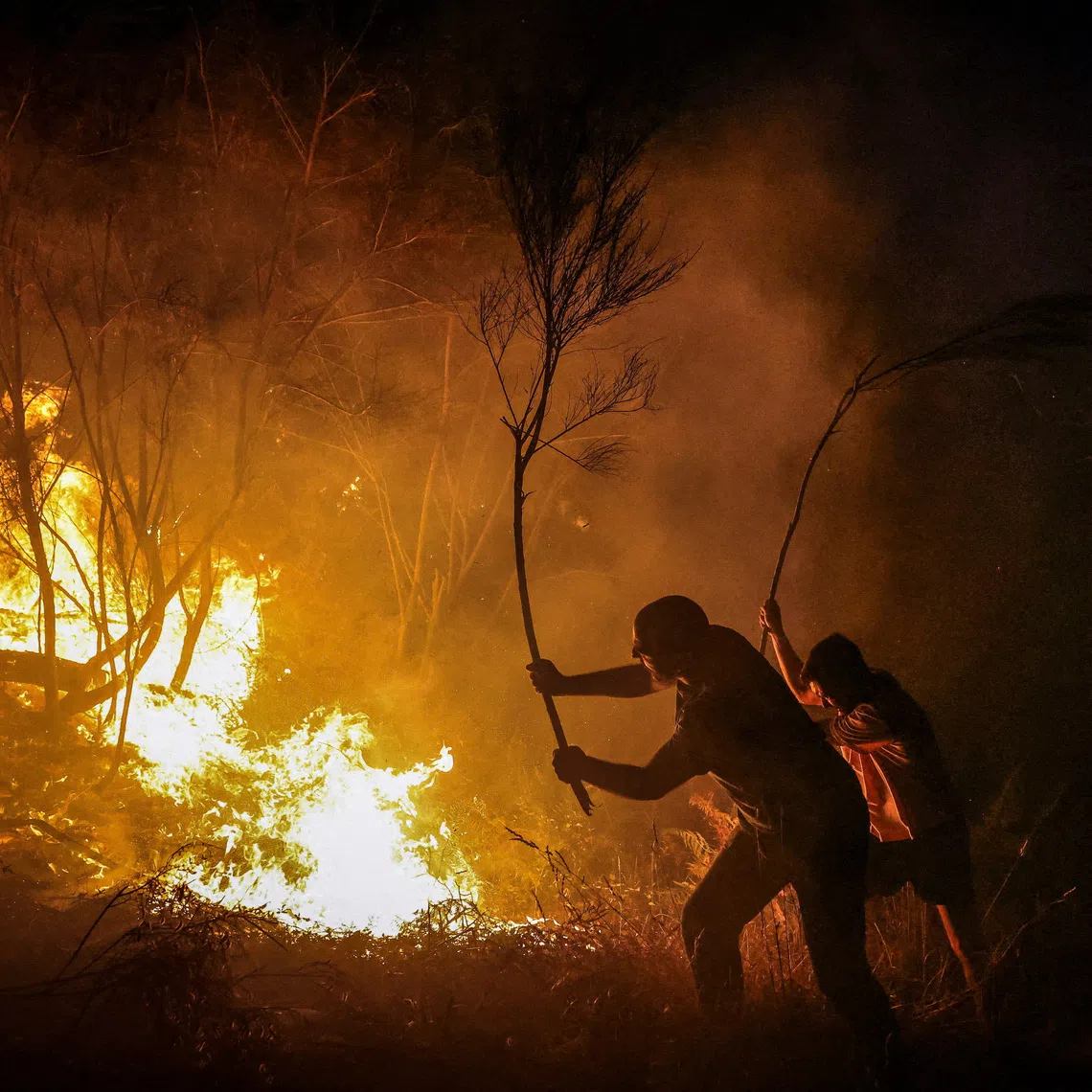Residents use tree branches as they try to extinguish flames from a wildfire in Vilar de Condes, in the province of Ourense in Galicia, Spain, August 15, 2025.  REUTERS/Nacho Doce